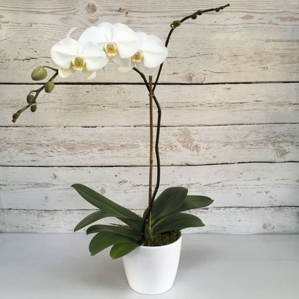 New York Florist Flower Delivery By Flowers By Blooming Affairs