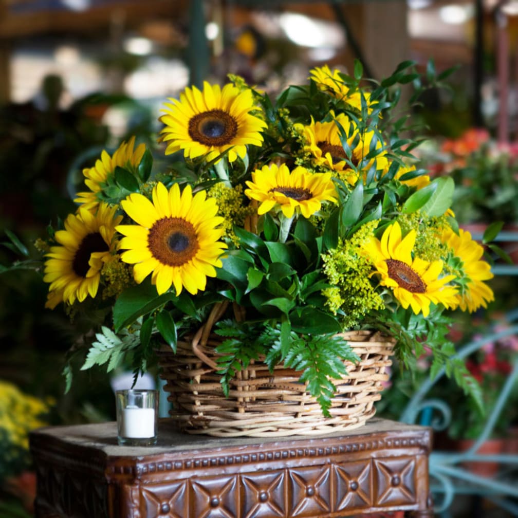 Miami Florist Flower Delivery By Hirni S Wayside Garden Florist
