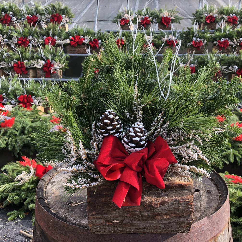 Darien Florist Flower Delivery by Springdale Florist & Greenhouses