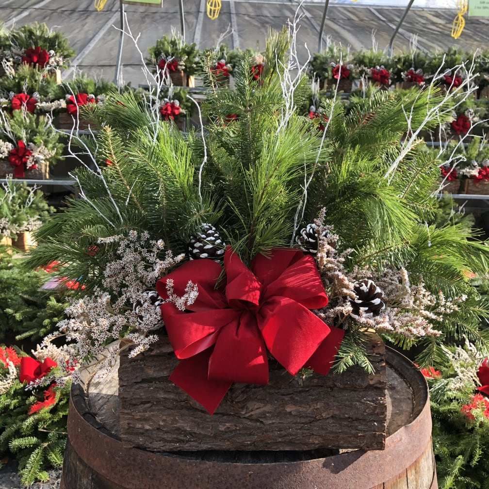 Darien Florist Flower Delivery by Springdale Florist & Greenhouses