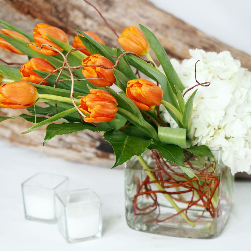 St Paul Florist Flower Delivery By Your Enchanted Florist