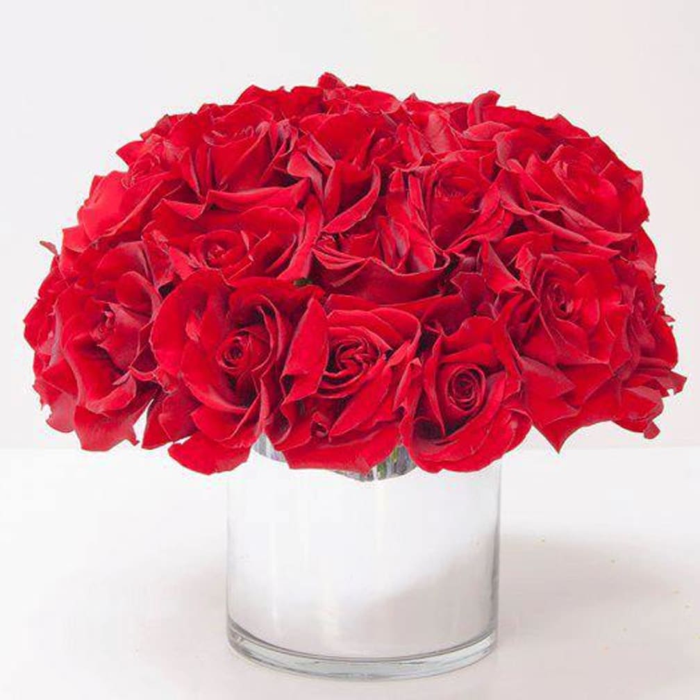 Hollywood Florist Flower Delivery By Hollywood Florist