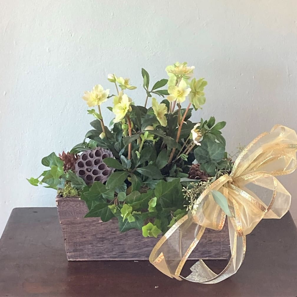 Wakefield Florist Flower Delivery by Weedweaver's