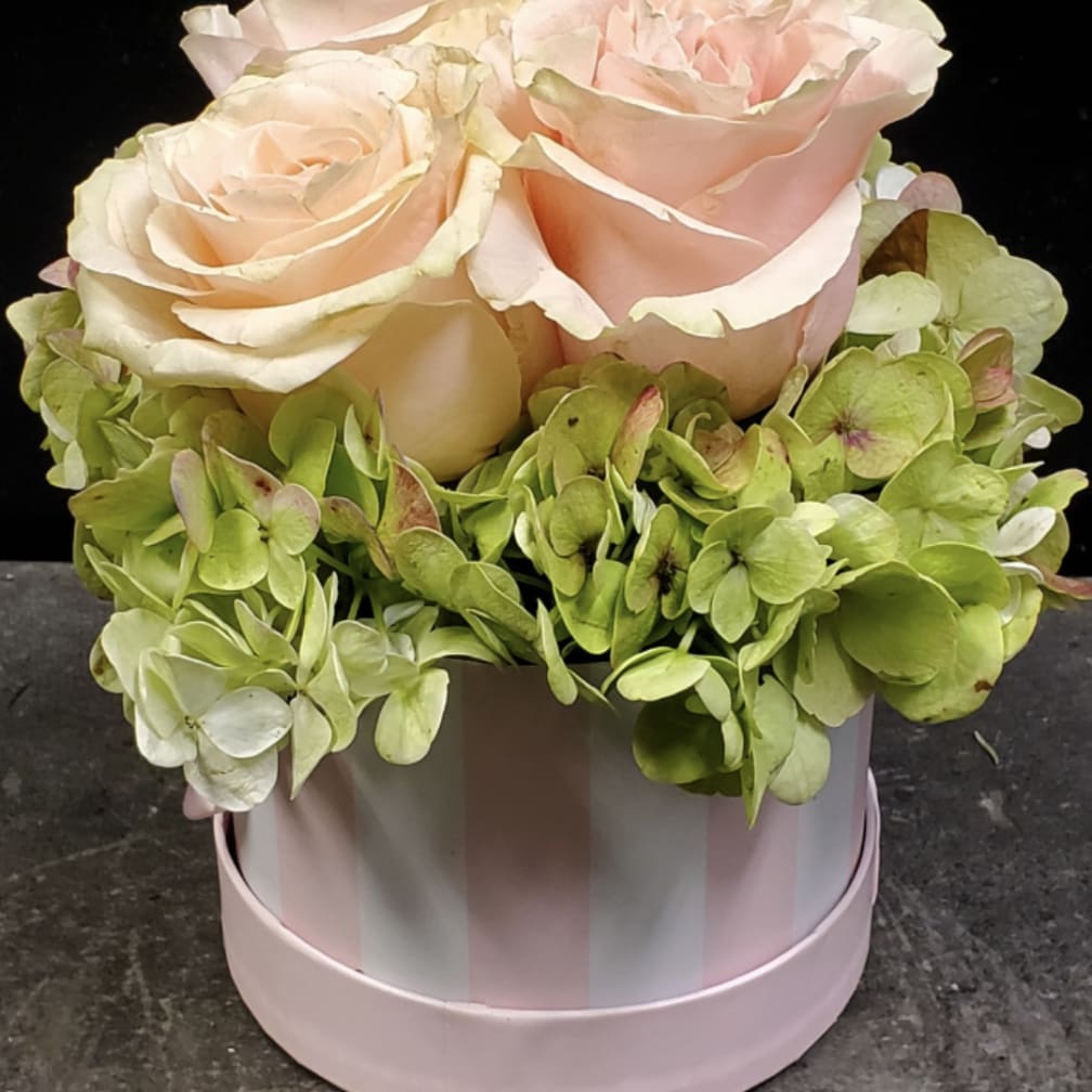 Westfield Florist Flower Delivery by The Flower Shop