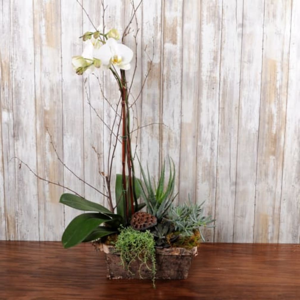 Downingtown Florist Flower Delivery by Blue Moon Florist