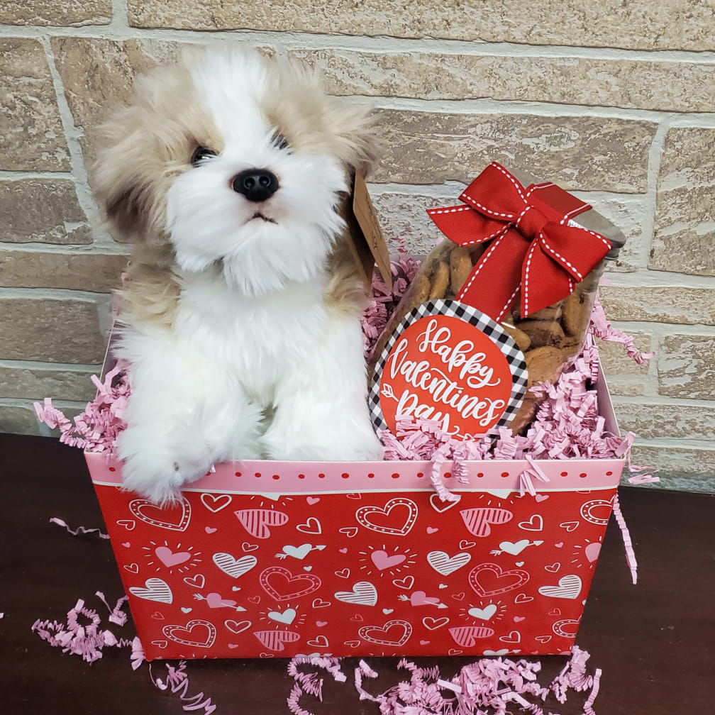 Westfield Florist Flower Delivery by The Flower Shop