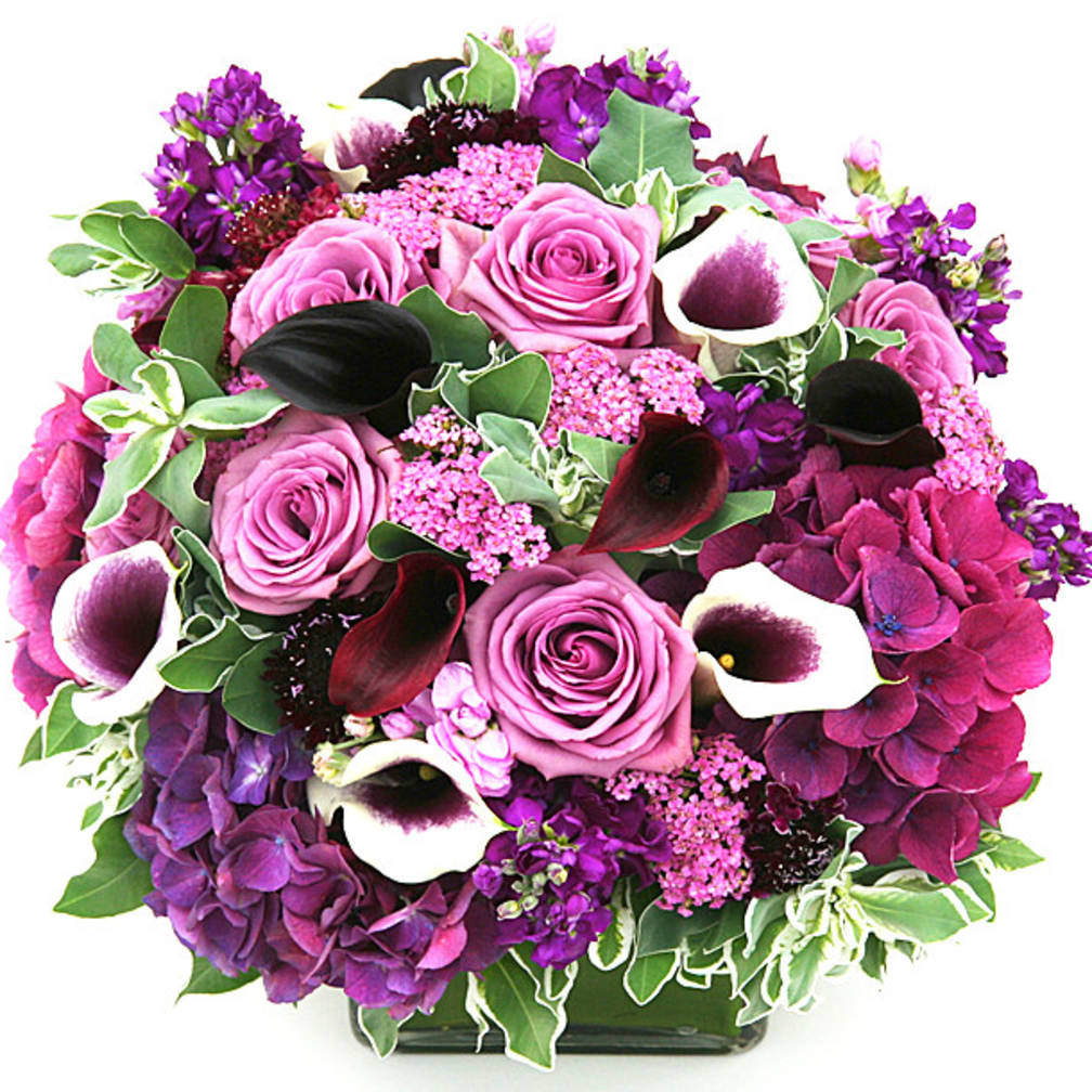 San Francisco Florist Flower Delivery by Not Just Flowers