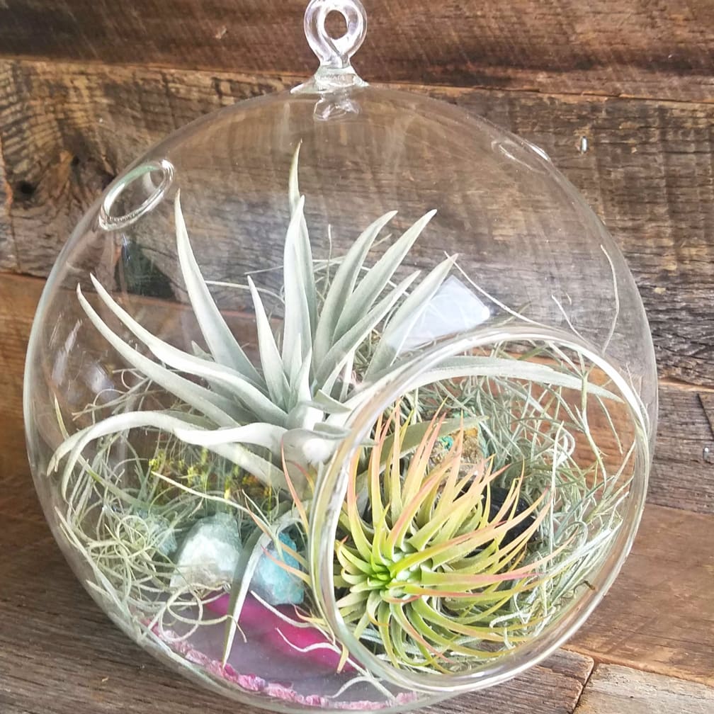 Boston Florist Flower Delivery by Back Bay Florist