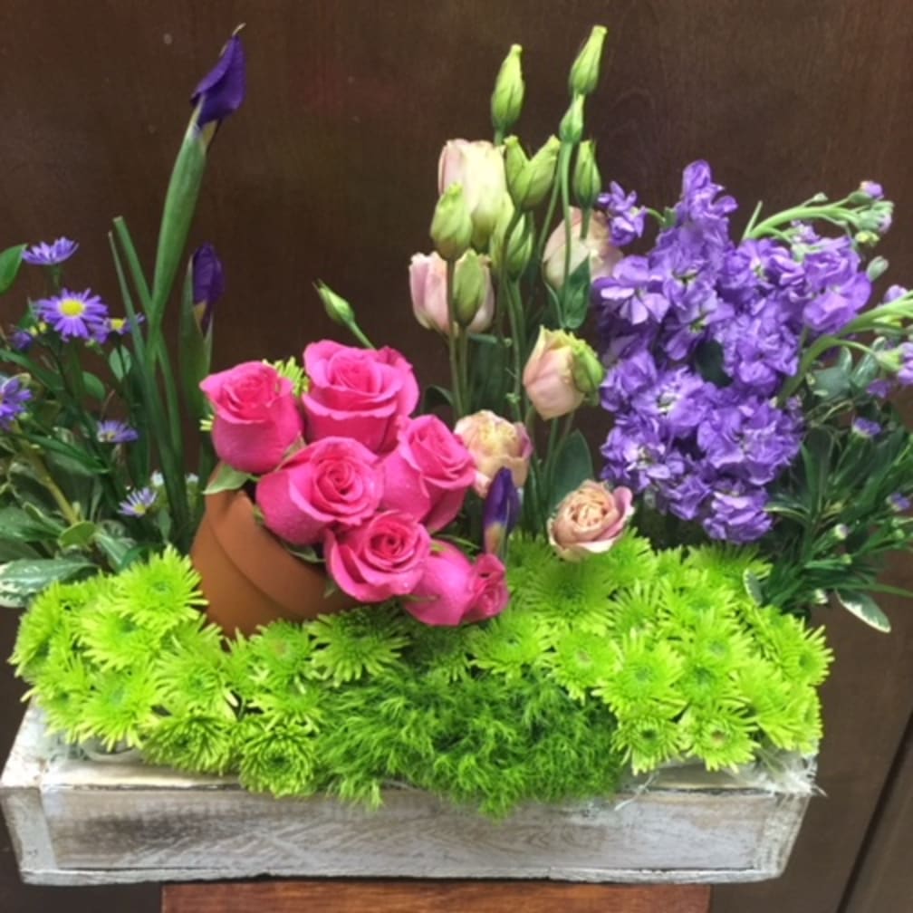 Elgin Florist Flower Delivery by The Floral Secret