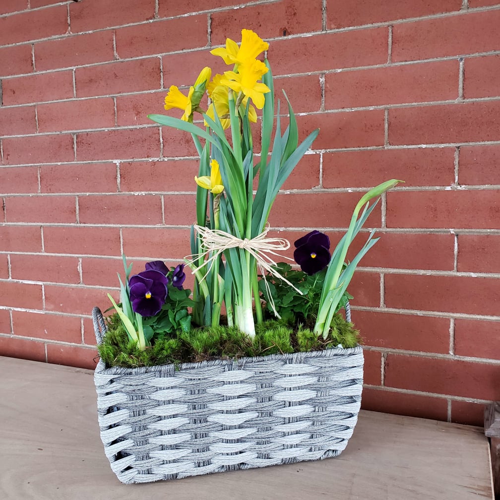 Athens Florist Flower Delivery by Athens Flower Shop