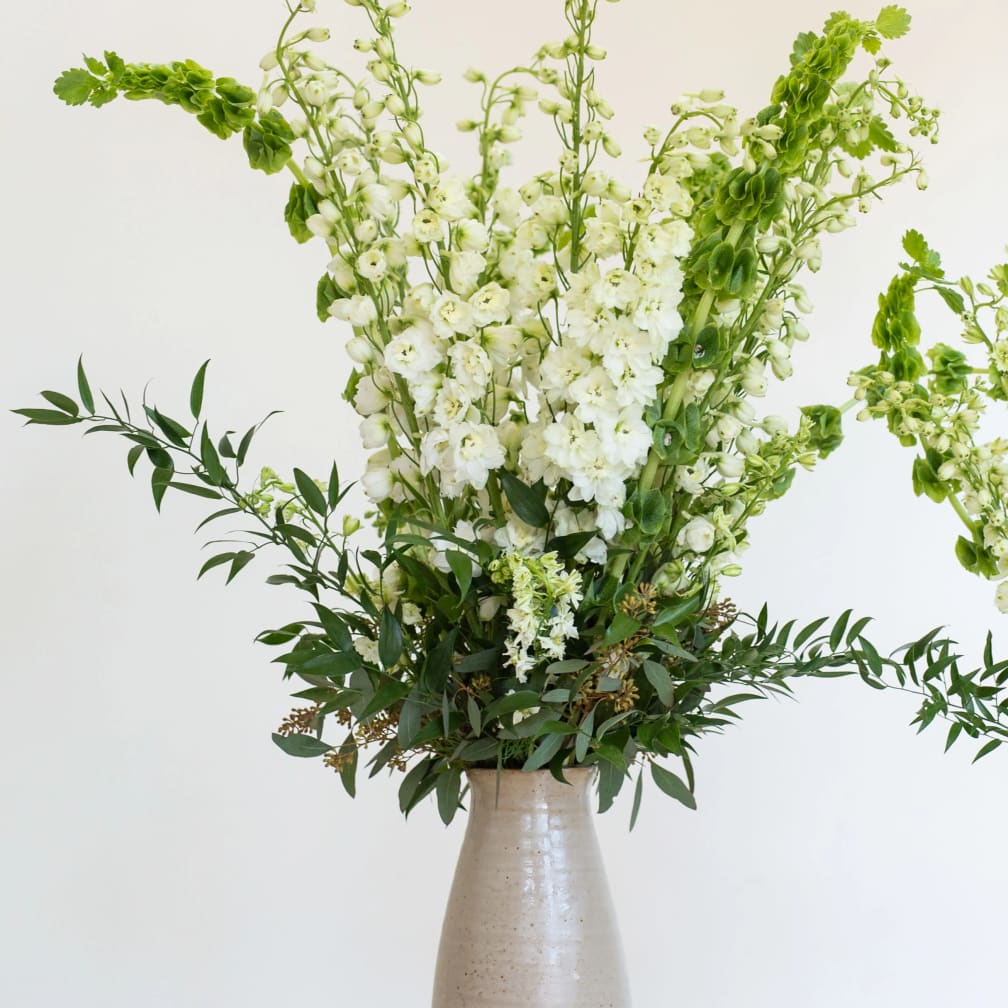 Charlottesville Florist Flower Delivery by Hedge Fine Blooms