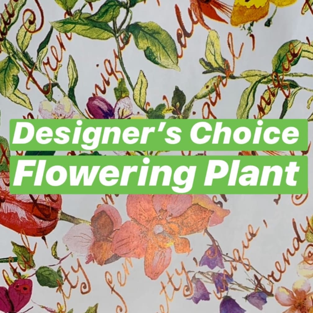 Somerville Florist Flower Delivery by Nellie&#039;s Wildflowers