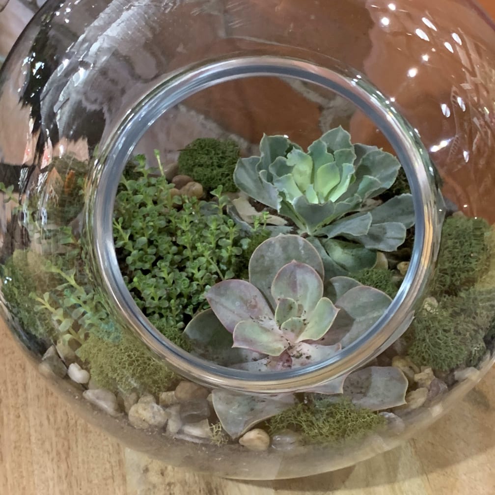 Flandreau Florist Flower Delivery by Flandreau Flower Shoppe