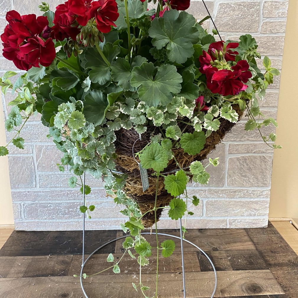 St. Peters Florist | Flower Delivery by Mexico Road Florist