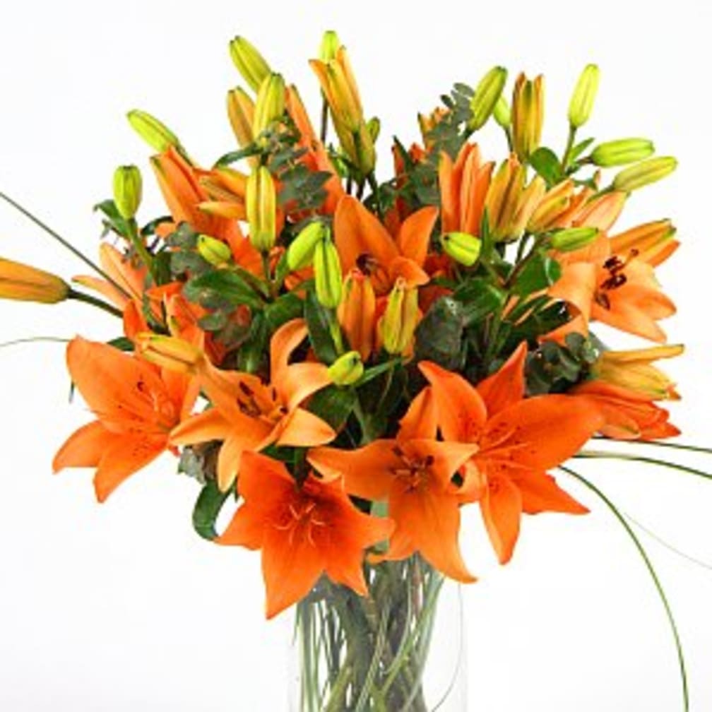 Silver Spring Florist Flower Delivery By Flowers By Daniel