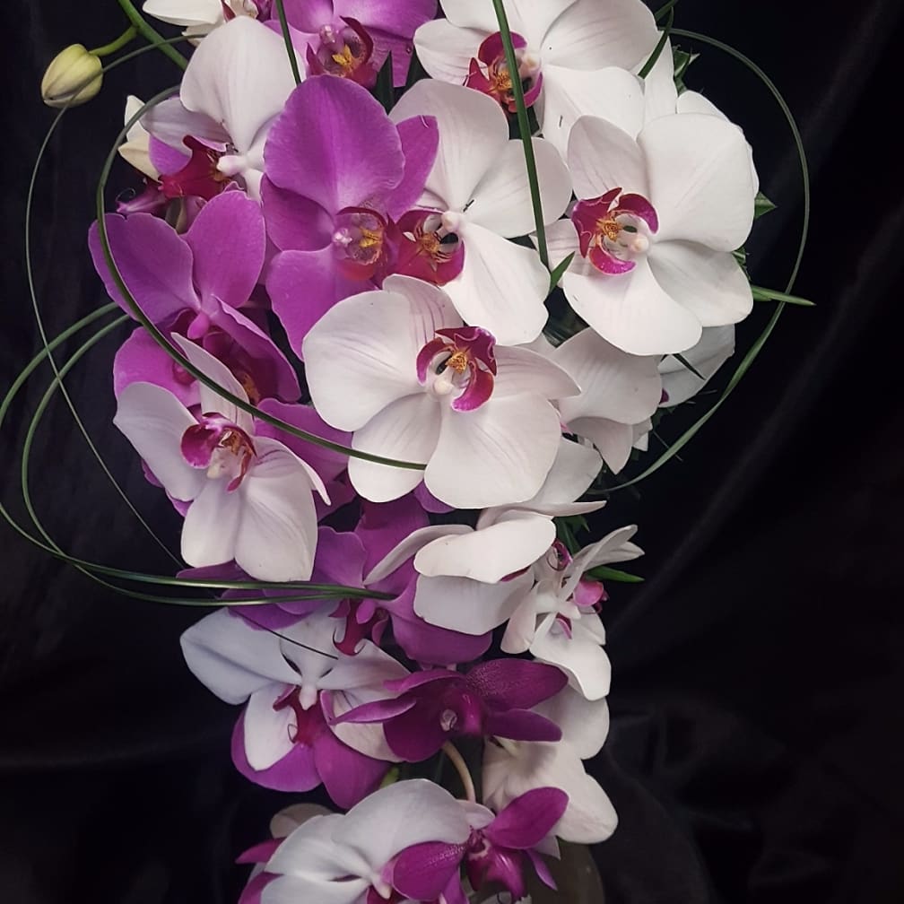 Lihue Florist Flower Delivery by Flowers Forever LLC