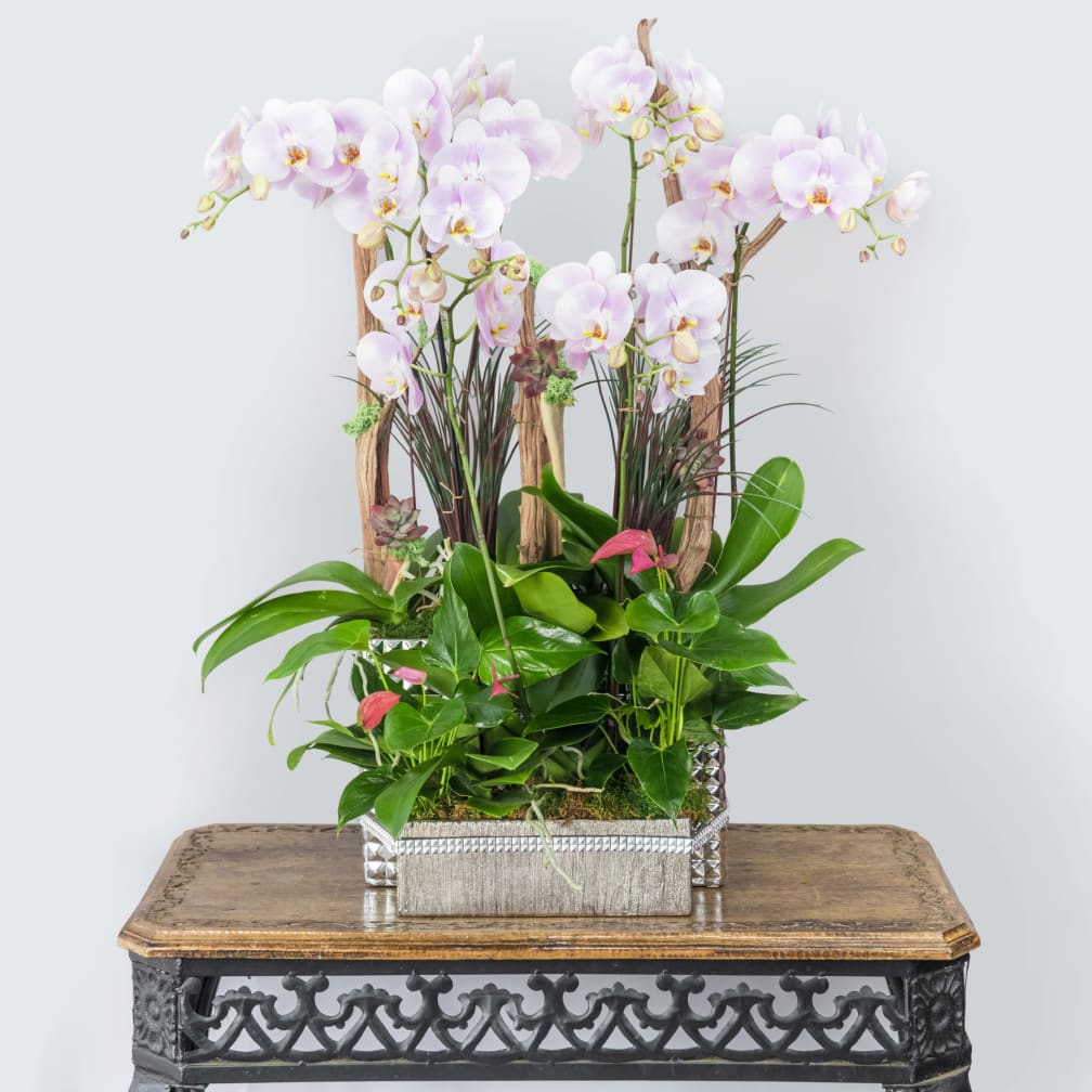 Tarzana Florist Flower Delivery by Flowers and Designs by Gina