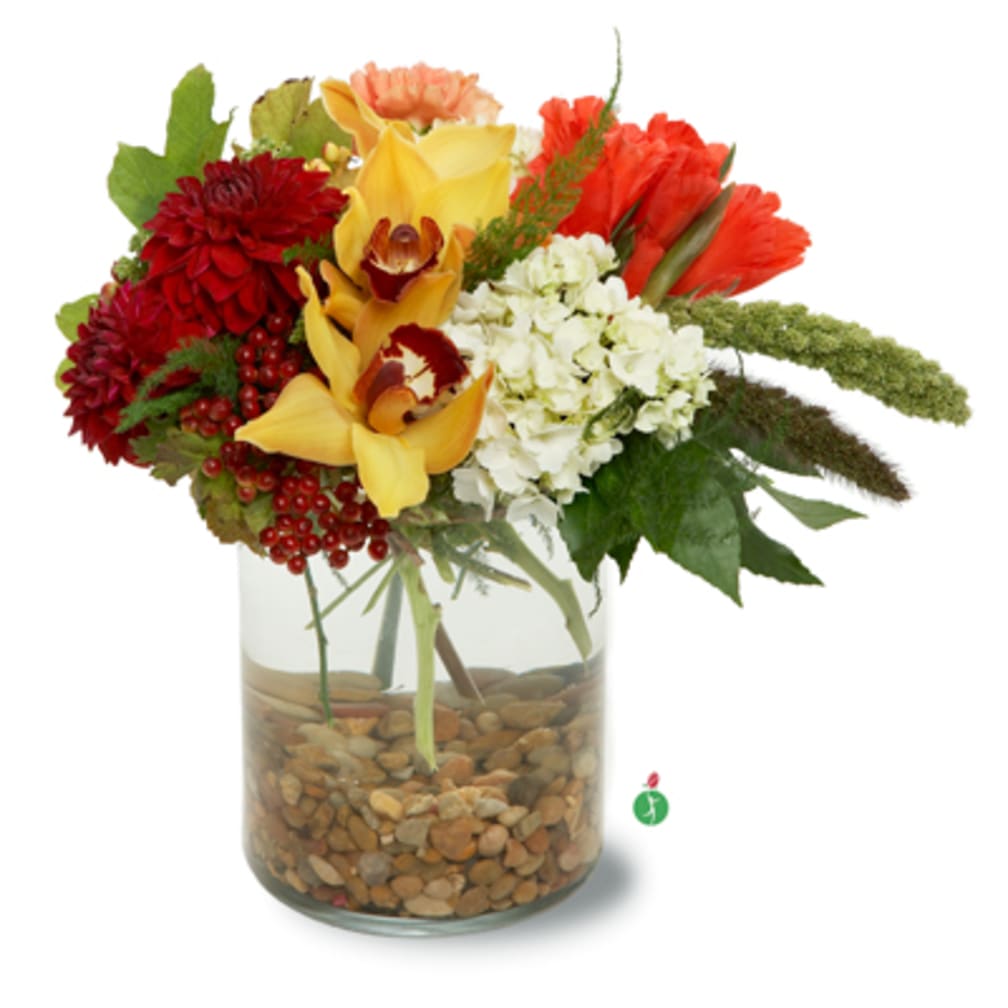 El Paso Florist Flower Delivery by Not Just A Flower Shop