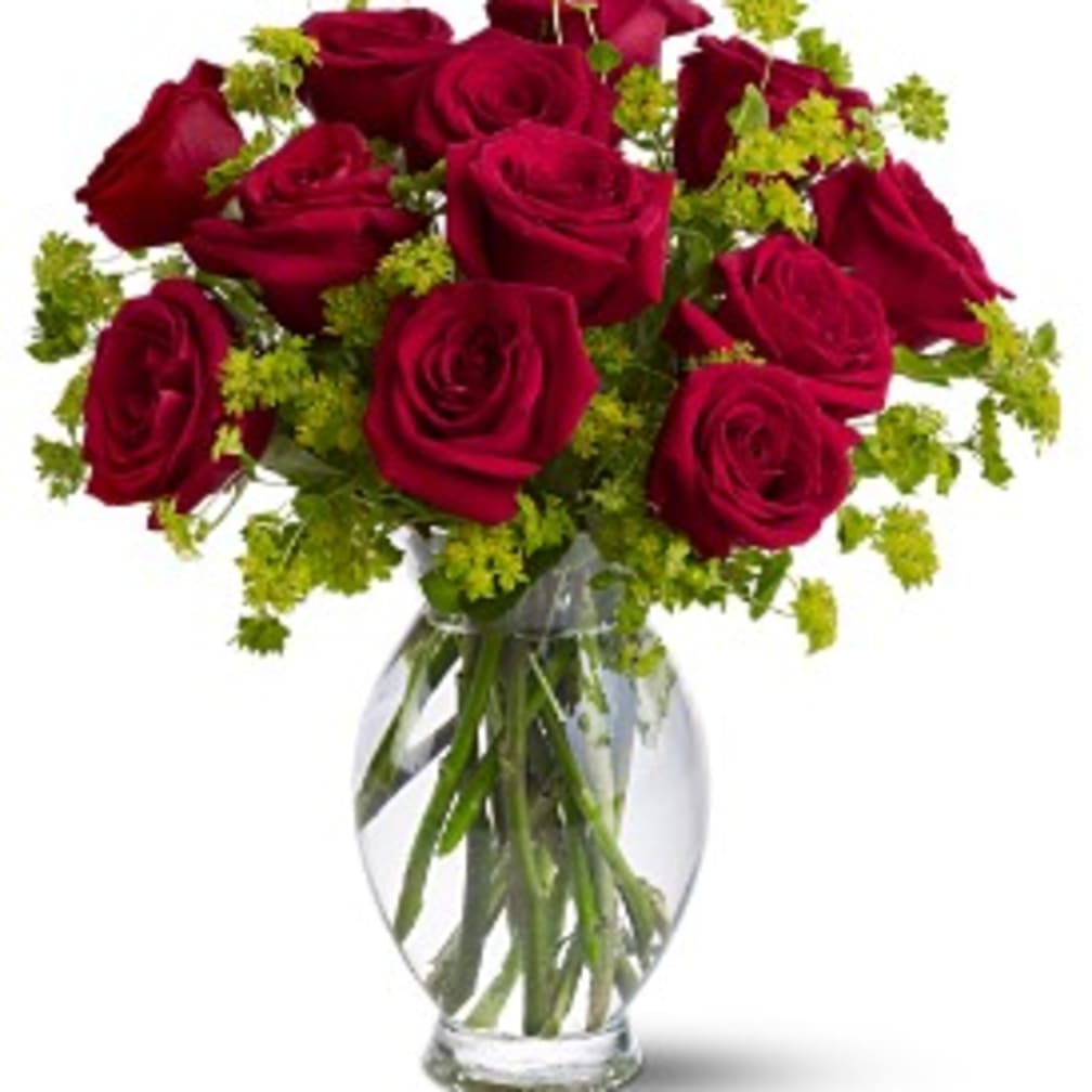 Teleflora's Dozen Sweet Roses