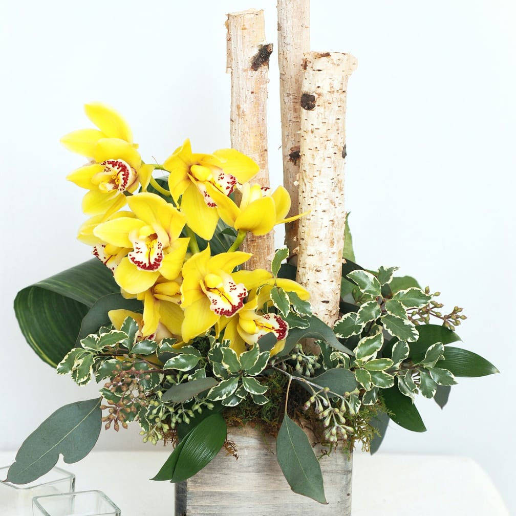 St Paul Florist Flower Delivery by Your Enchanted Florist