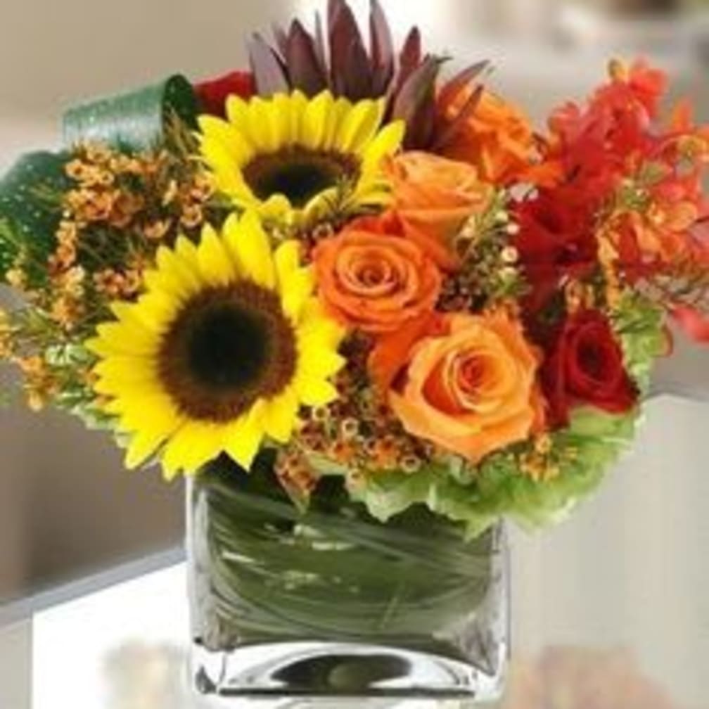 Katy Florist Flower Delivery by Passion Flowers