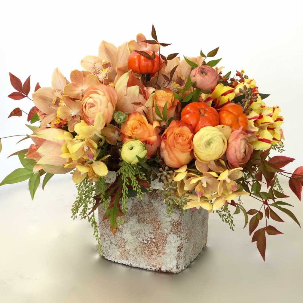 Fall Star - Glendale Florist