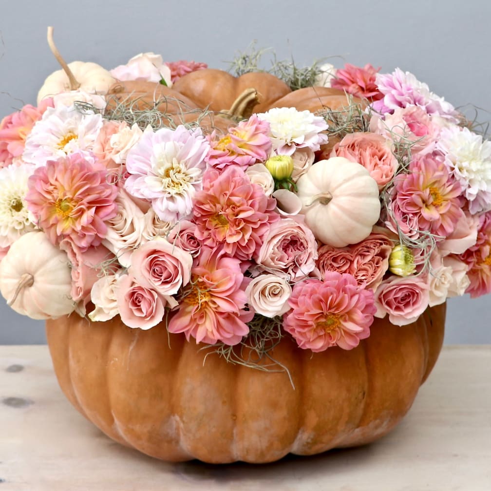 Sugar and Spice Pumpkin - My Glendale Florist