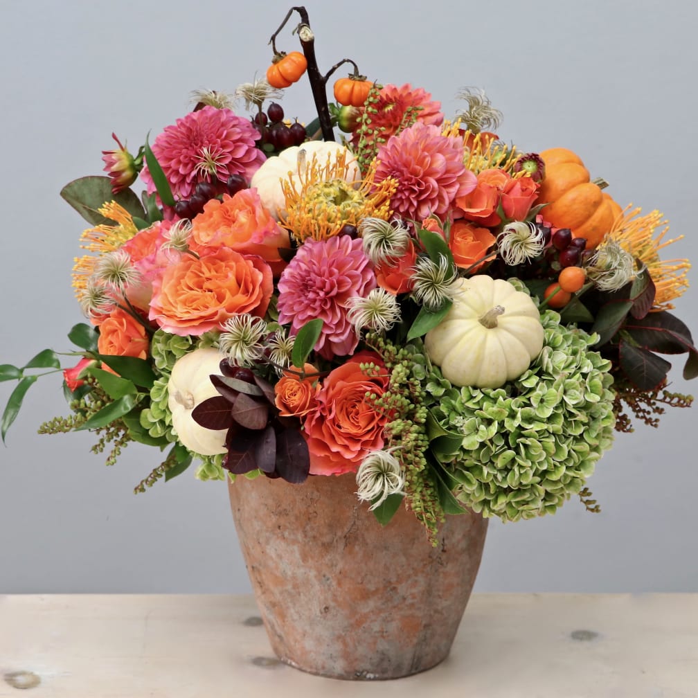 Festive Special - My Glendale Florist