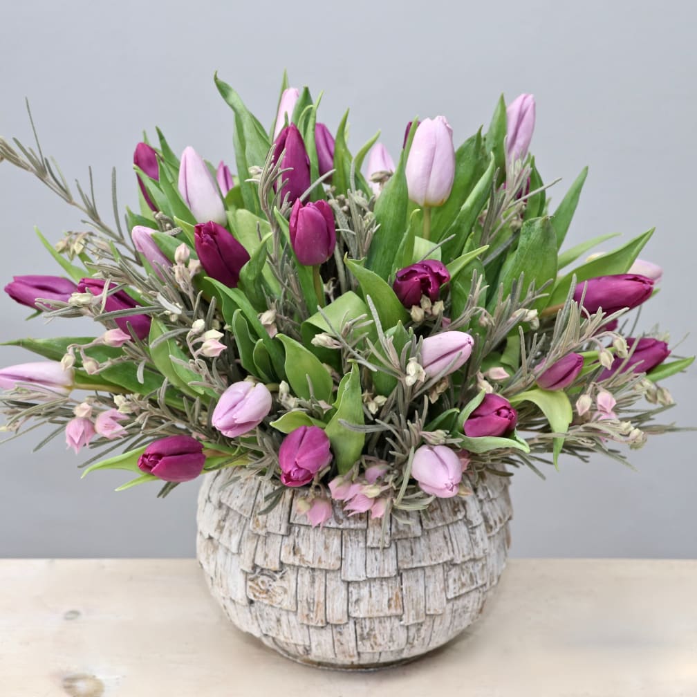 Enchanted Tulips - My Glendale Florist