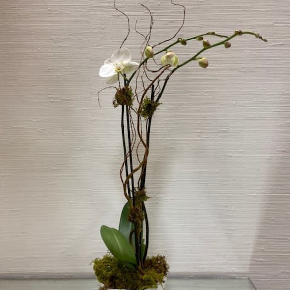 flower delivery columbia sc 29229