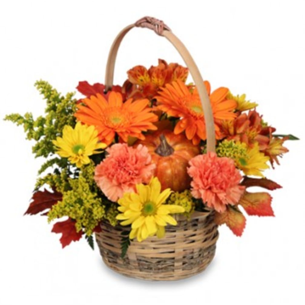 Friendly Fall Flower Basket in Avon, NY | Avon Floral World - Florist &  Gift Shoppe