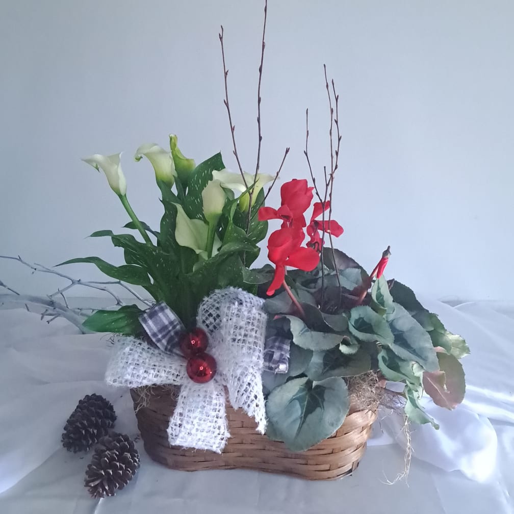 Greenville Florist | Flower Delivery by Dahlia a Florist