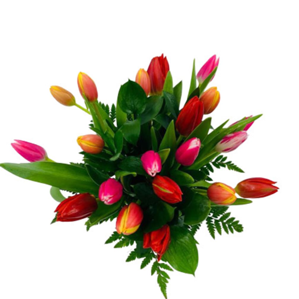 Tamarac Florist Flower Delivery by Ellie Flowers and Gift Shop
