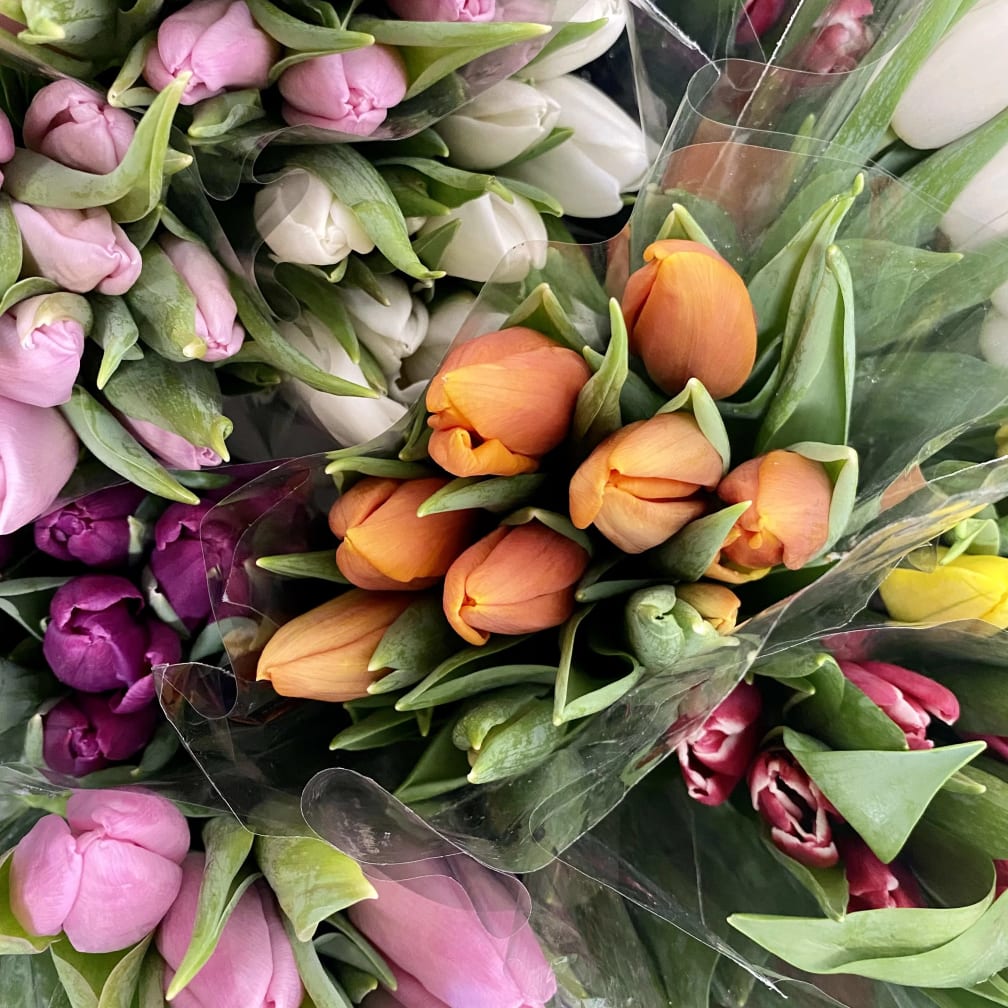 S Flowers Jonesboro Ar Best Flower Site