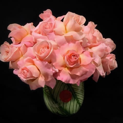 Succulents Delivery Naperville Jmb Haute Floral Design