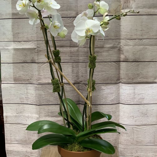 New York Florist Flower Delivery By Eva S Garden Florist