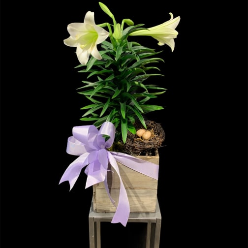 Franklin Florist Flower Delivery By Garden Delights Fine Florist Check out this gray 2013 chevrolet express 3500 lt 3500 with 24,145 miles. franklin florist flower delivery by