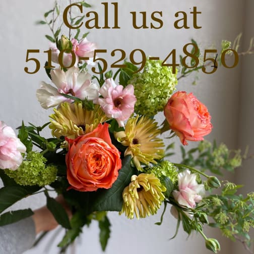 Albany Florist Flower Delivery By Momo S Flowers And More