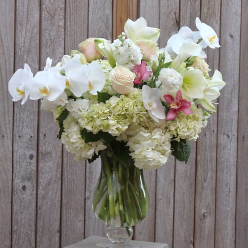 Washington Dc Annapolis Florist Flower Delivery By York Flowers