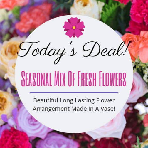 Local San Diego Florist Flower Delivery By House Of Stemms