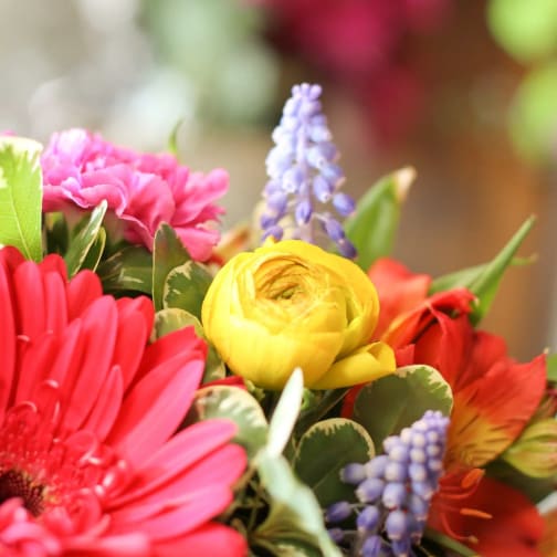Anoka Florist Flower Delivery By Main Floral