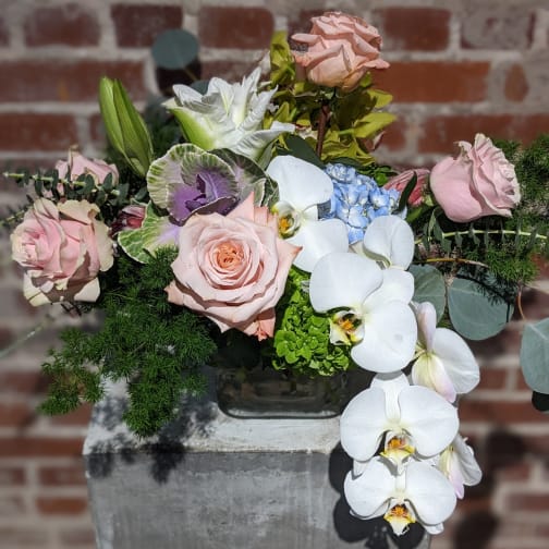 Send Flowers Clarkston Wa Best Flower Site