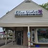 Blue Violet Flower Studio
