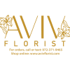 Aviv Florist