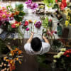 NINFA'S FLOWERS