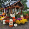 Kathryn's Farmhouse Flowers store photo