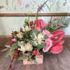 SUFLOR store photo