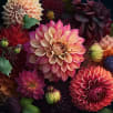 Every Bloomin' Thing store photo