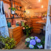 Arrow’s Twigs and Flowers store photo
