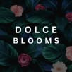 Dolce Blooms store photo